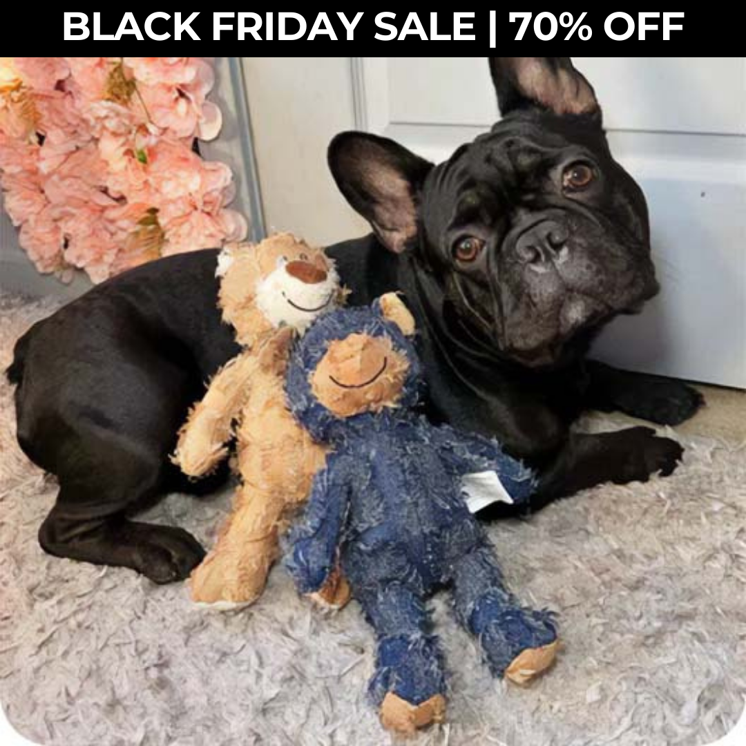 MightyBear™ - Indestructible Toy For Dog (70% OFF)